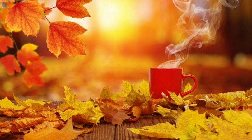 Social Media Content Ideas For October